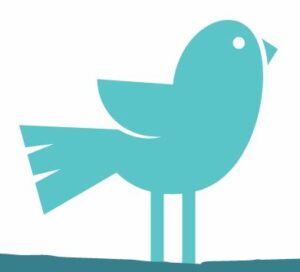 Unruffle Your Feathers